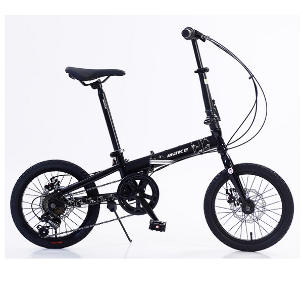 Xe đạp gấp Xaming Fold