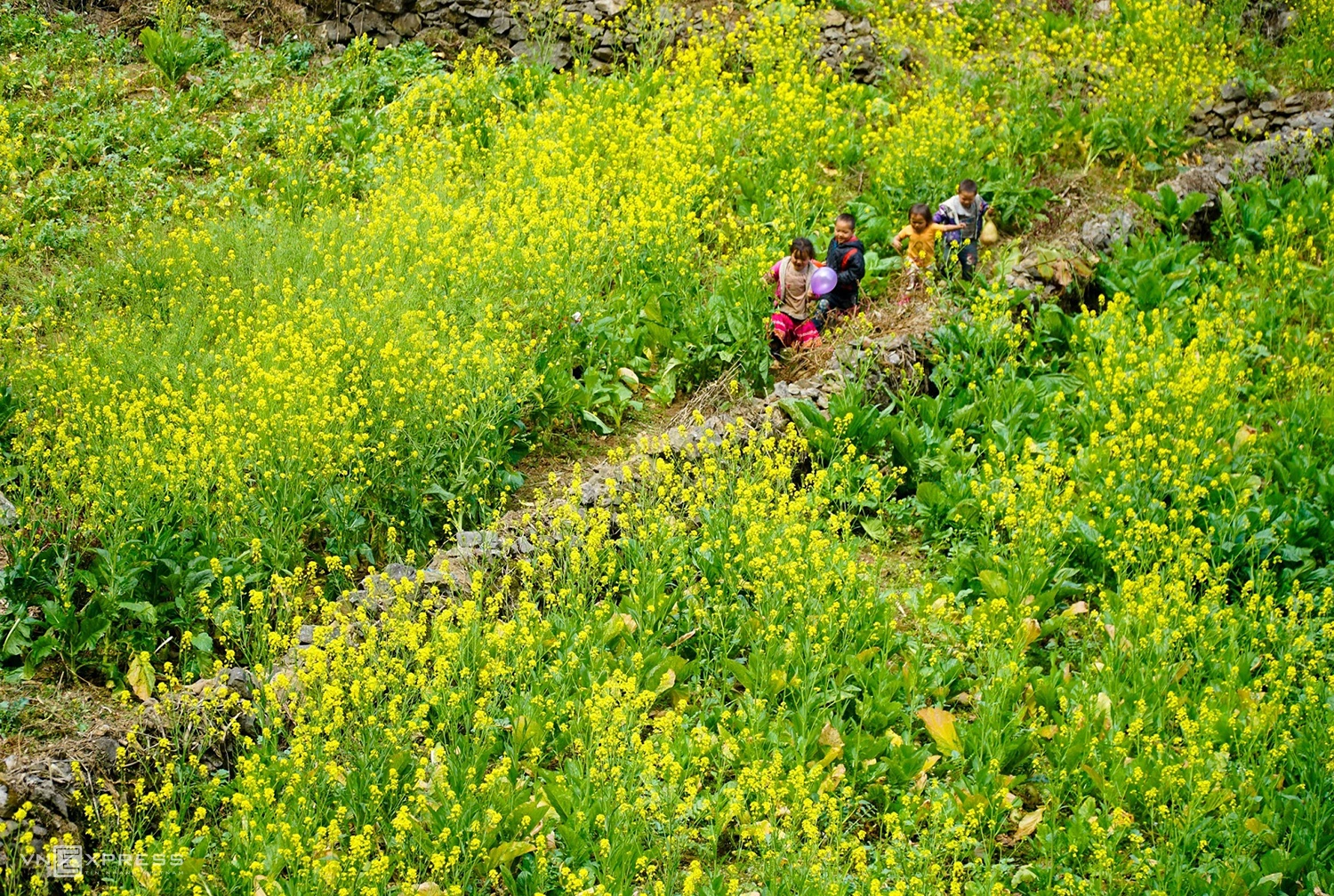 Du lịch Hà Giang